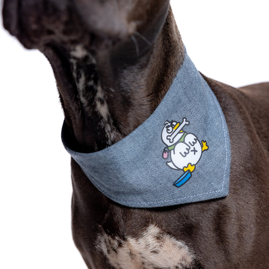 Hundehalstuch